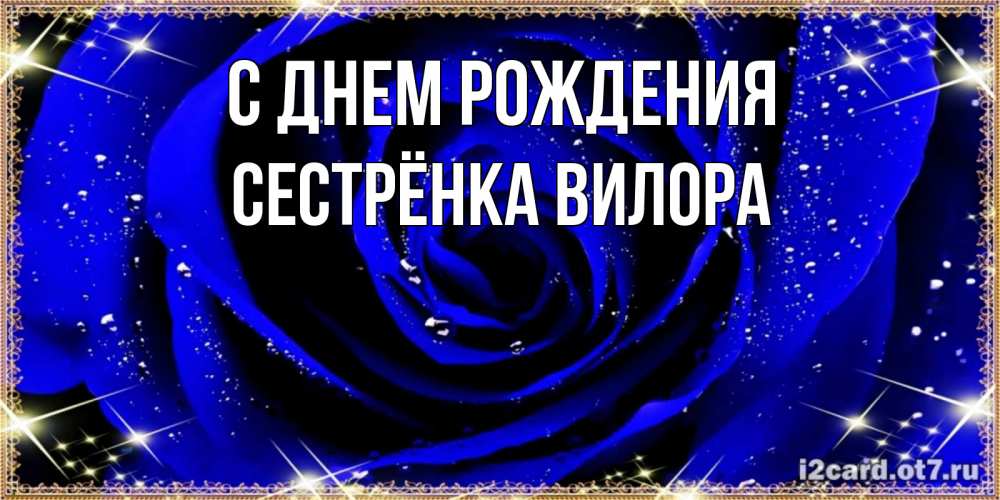 Открытка на каждый день с именем, Сестрёнка-Вилора С днем рождения голубые цветы в росе Прикольная открытка с пожеланием онлайн скачать бесплатно 