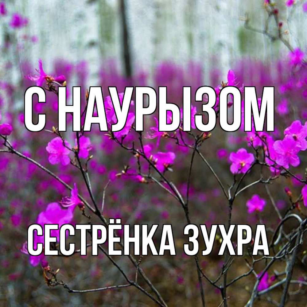 Открытка на каждый день с именем, Сестрёнка-Зухра С наурызом дикие цветы Прикольная открытка с пожеланием онлайн скачать бесплатно 