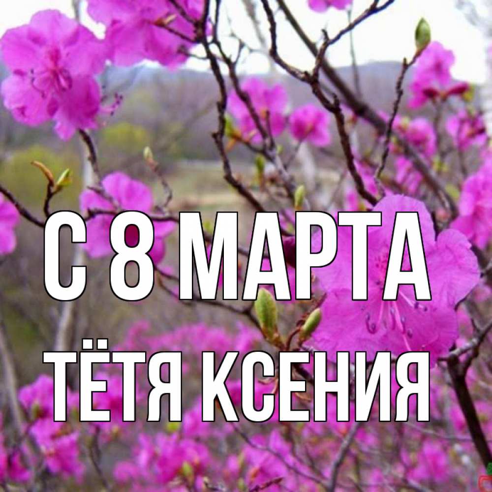 Открытка на каждый день с именем, Тётя-Ксения С 8 МАРТА международный женский день Прикольная открытка с пожеланием онлайн скачать бесплатно 
