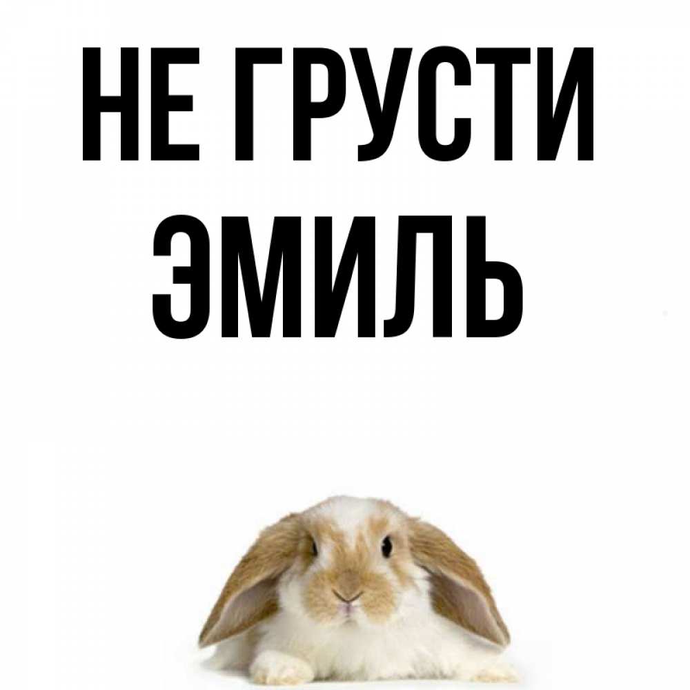 Открытка на каждый день с именем, Эмиль Не грусти коричнево белый заяц с большими ушками Прикольная открытка с пожеланием онлайн скачать бесплатно 