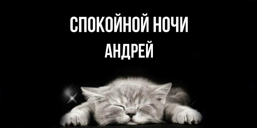 Открытка на каждый день с именем, Андрей Спокойной ночи спящий котик Прикольная открытка с пожеланием онлайн скачать бесплатно 