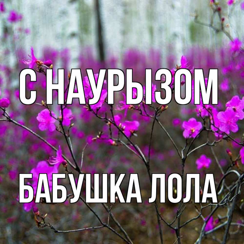 Открытка на каждый день с именем, Бабушка-Лола С наурызом дикие цветы Прикольная открытка с пожеланием онлайн скачать бесплатно 