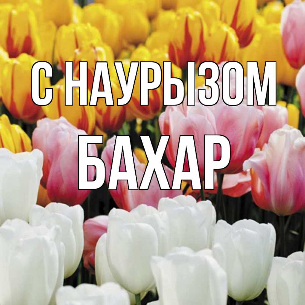 Картинка С наурызом, Бахар