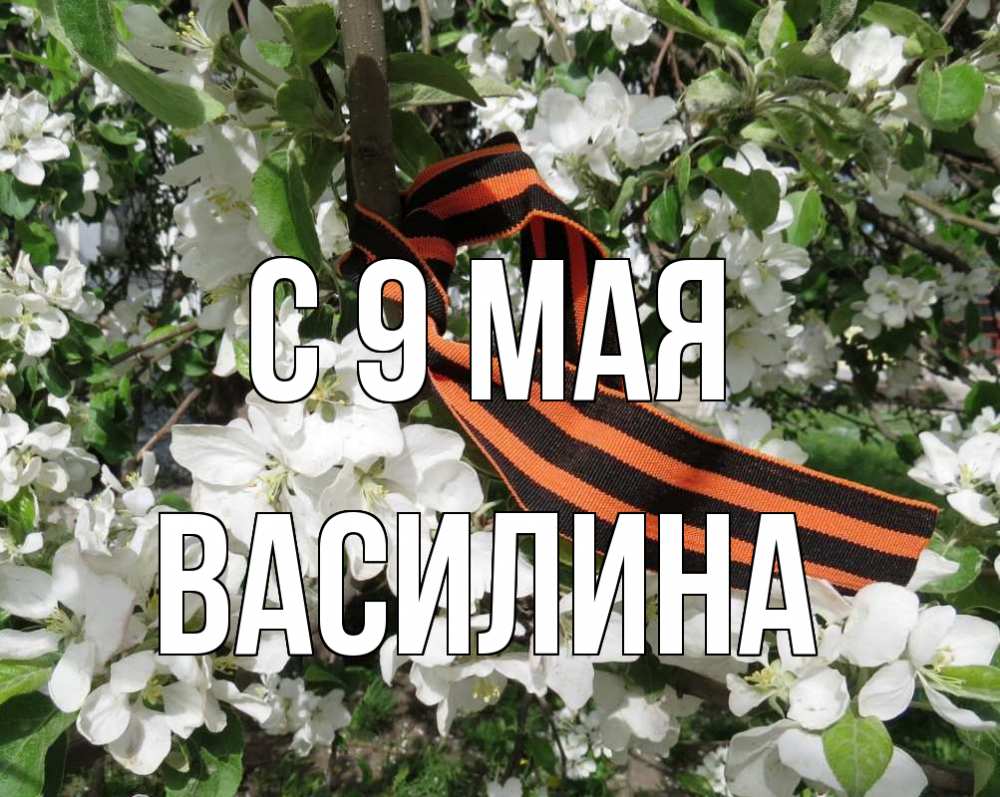 Открытка на каждый день с именем, Василина С 9 мая 9 мая Прикольная открытка с пожеланием онлайн скачать бесплатно 