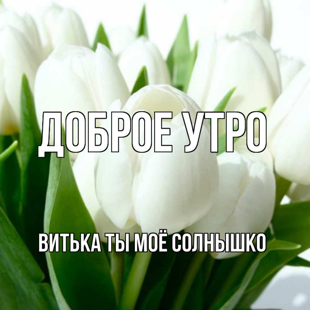 Открытка на каждый день с именем, Витька-ты-моё-солнышко Доброе утро открытки на каждый день по именам Прикольная открытка с пожеланием онлайн скачать бесплатно 