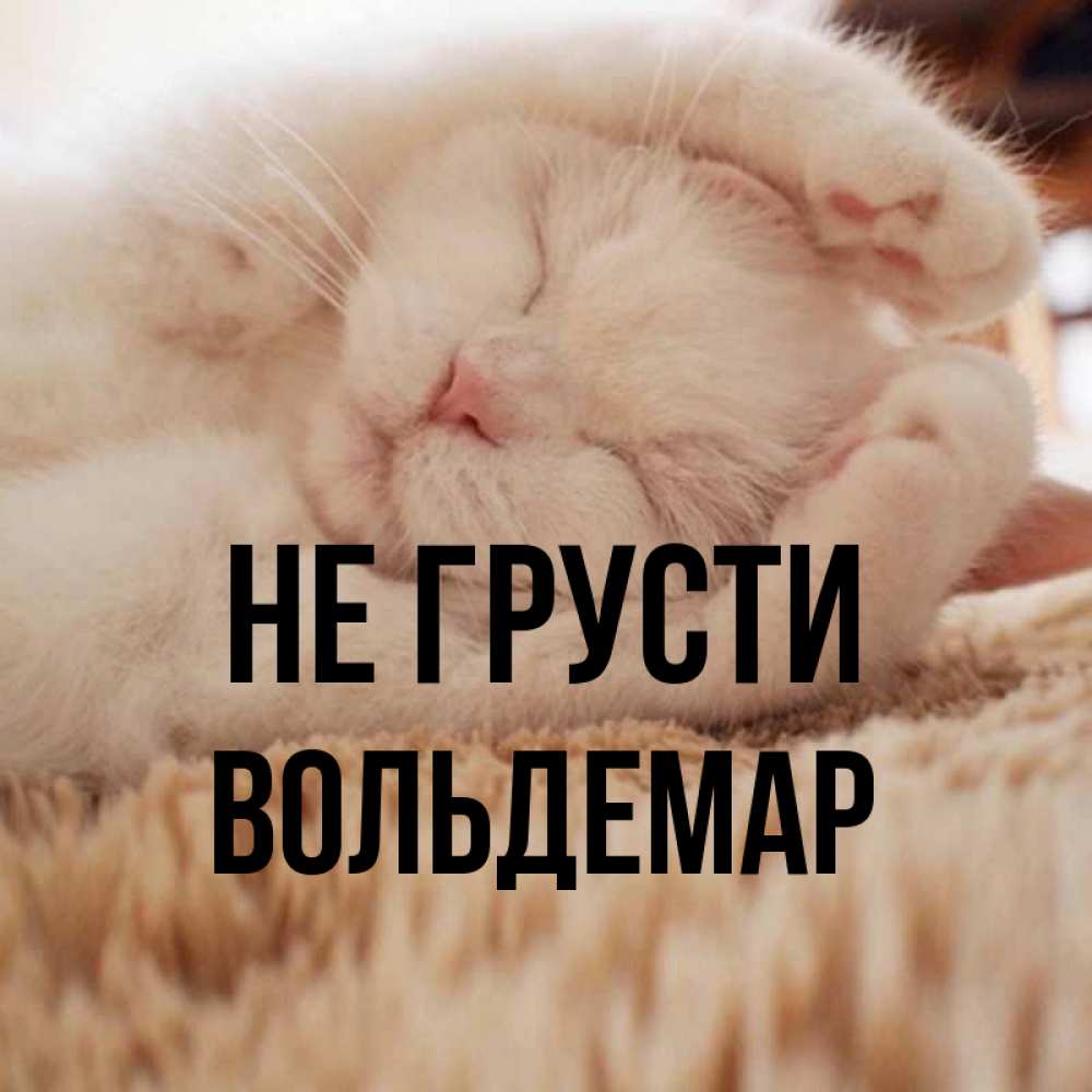 Открытка на каждый день с именем, Вольдемар Не грусти Котенок спит Прикольная открытка с пожеланием онлайн скачать бесплатно 