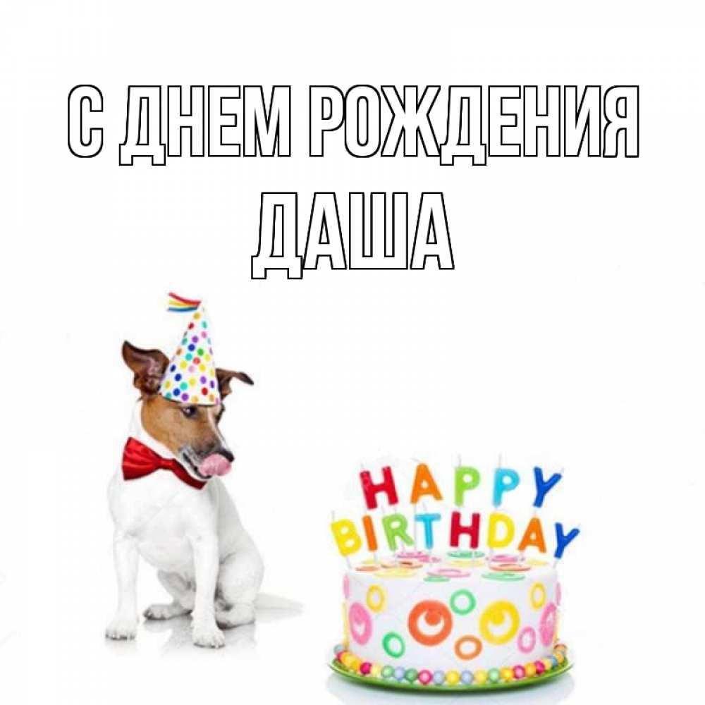 Открытка на каждый день с именем, Даша С днем рождения праздник Прикольная открытка с пожеланием онлайн скачать бесплатно 