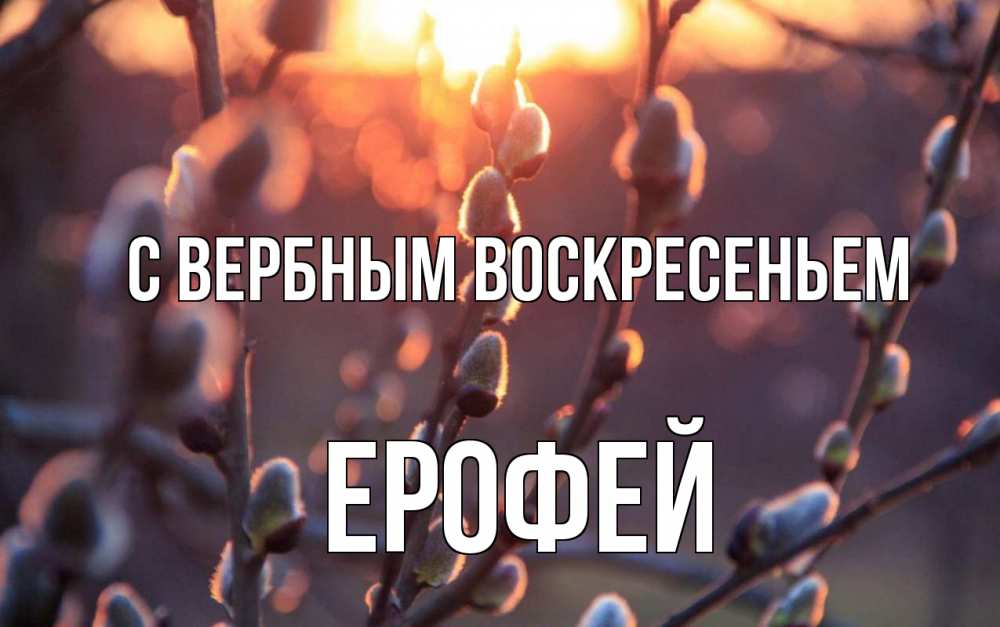 Открытка на каждый день с именем, Ерофей С вербным воскресеньем верба Прикольная открытка с пожеланием онлайн скачать бесплатно 
