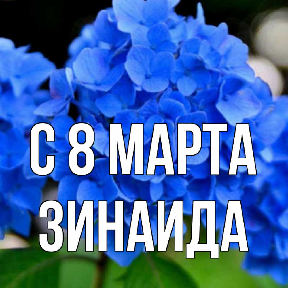 Открытка на каждый день с именем, Зинаида С 8 МАРТА синие цветы Прикольная открытка с пожеланием онлайн скачать бесплатно 