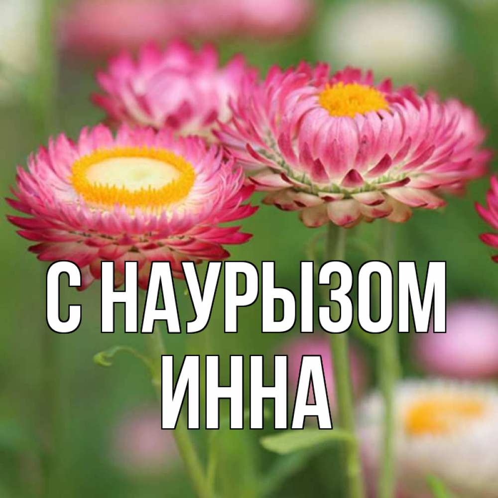 Открытка на каждый день с именем, Инна С наурызом подарок на международный женский день Прикольная открытка с пожеланием онлайн скачать бесплатно 