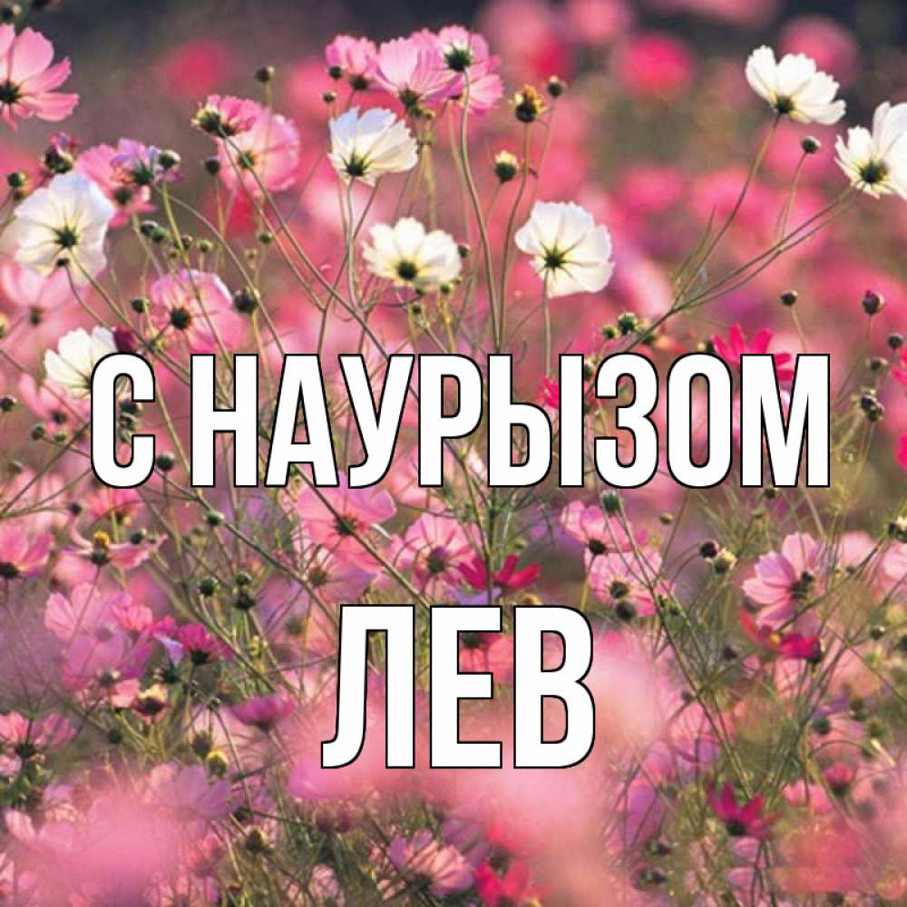 Открытка на каждый день с именем, Лев С наурызом красиво 1 Прикольная открытка с пожеланием онлайн скачать бесплатно 