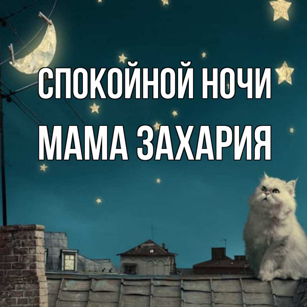 Открытка на каждый день с именем, Мама-Захария Спокойной ночи белый кот сидит на крыше Прикольная открытка с пожеланием онлайн скачать бесплатно 