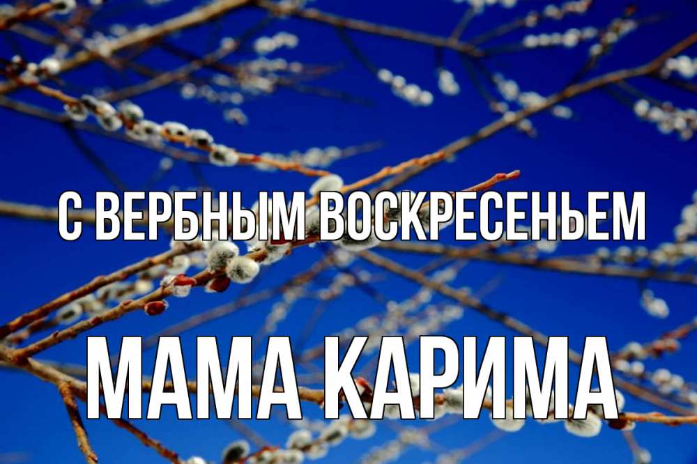 Открытка на каждый день с именем, Мама-Карима С вербным воскресеньем верба Прикольная открытка с пожеланием онлайн скачать бесплатно 