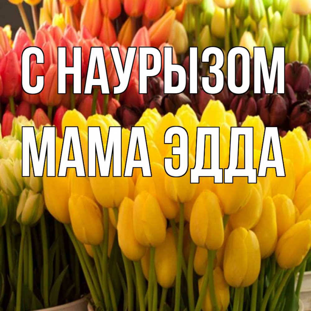 Открытка на каждый день с именем, Мама-Эдда С наурызом цветы Прикольная открытка с пожеланием онлайн скачать бесплатно 