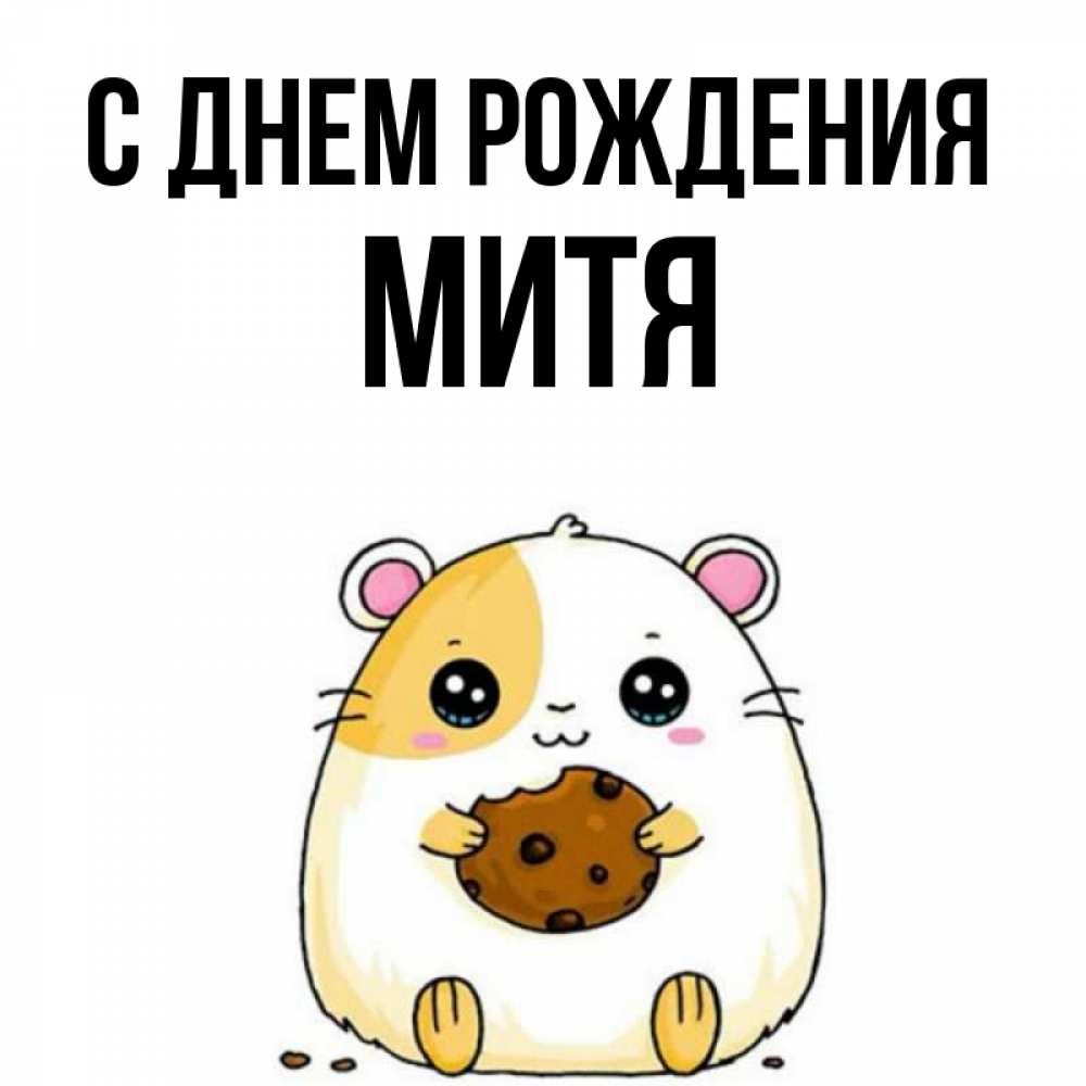 С Днем Рождения Митя