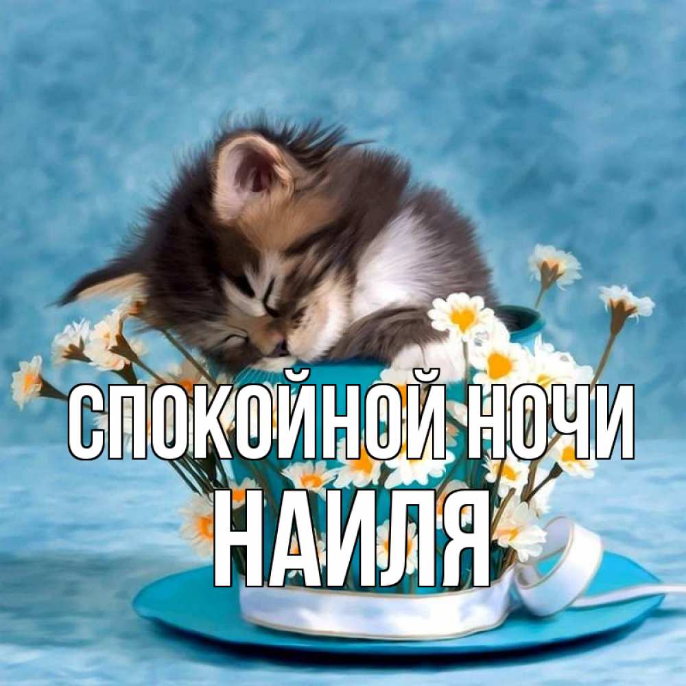 Открытка на каждый день с именем, Наиля Спокойной ночи котенок спит в кружке с блюдцем Прикольная открытка с пожеланием онлайн скачать бесплатно 