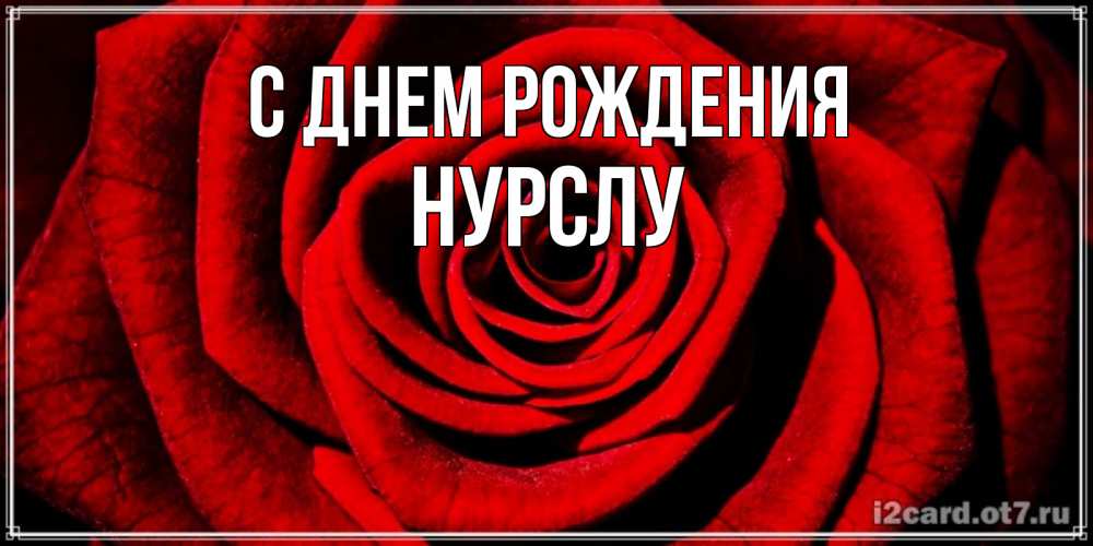Открытка на каждый день с именем, Нурслу С днем рождения алая роза Прикольная открытка с пожеланием онлайн скачать бесплатно 