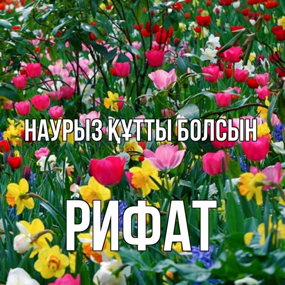 Открытка на каждый день с именем, Рифат Наурыз құтты болсын с наурызом поздравления для женщины Прикольная открытка с пожеланием онлайн скачать бесплатно 