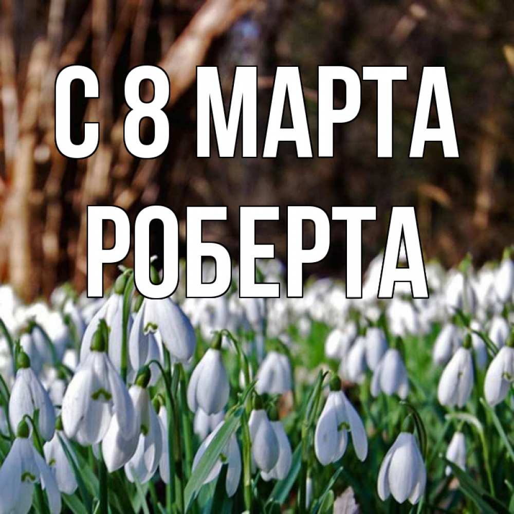 Открытка на каждый день с именем, Роберта С 8 МАРТА с подснежниками 1 Прикольная открытка с пожеланием онлайн скачать бесплатно 