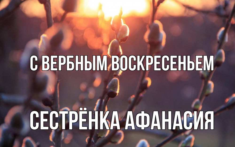 Открытка на каждый день с именем, Сестрёнка-Афанасия С вербным воскресеньем верба Прикольная открытка с пожеланием онлайн скачать бесплатно 
