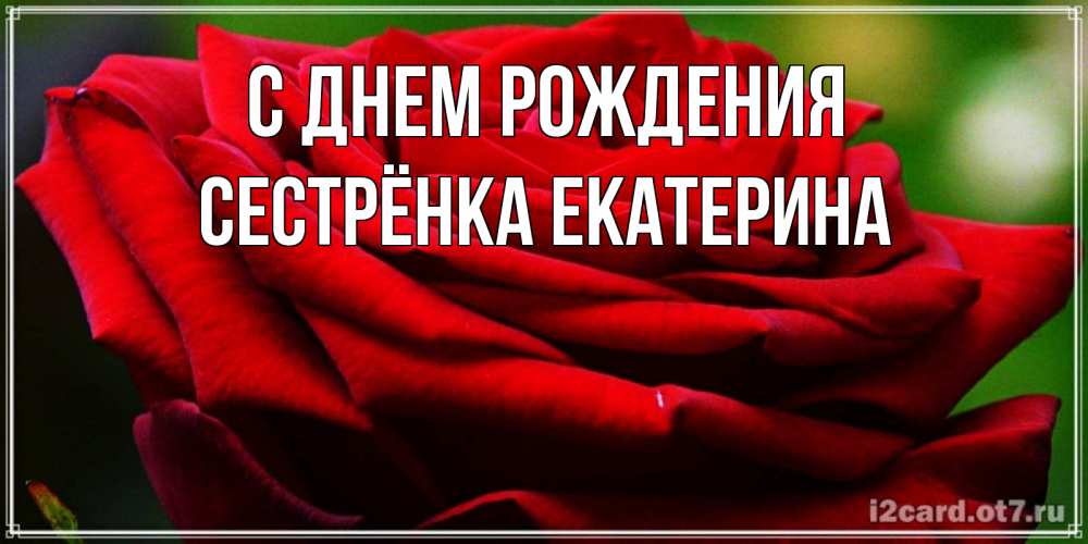 Открытка на каждый день с именем, Сестрёнка-Екатерина С днем рождения розочка очень красивая Прикольная открытка с пожеланием онлайн скачать бесплатно 