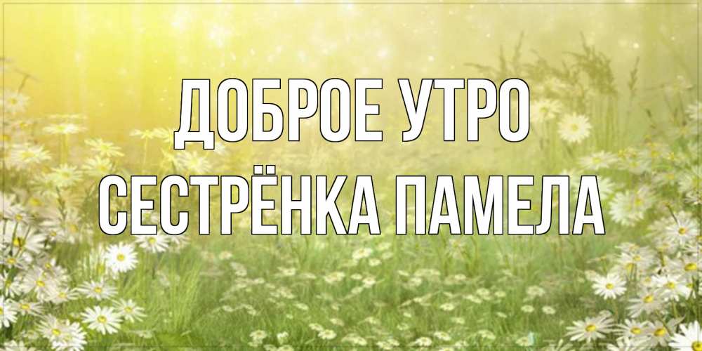 Открытка на каждый день с именем, Сестрёнка-Памела Доброе утро доброе утро Прикольная открытка с пожеланием онлайн скачать бесплатно 
