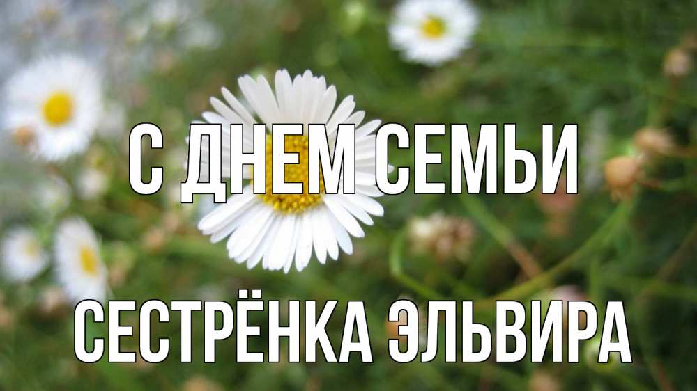 Открытка на каждый день с именем, Сестрёнка-Эльвира С днем семьи с днем семьи Прикольная открытка с пожеланием онлайн скачать бесплатно 