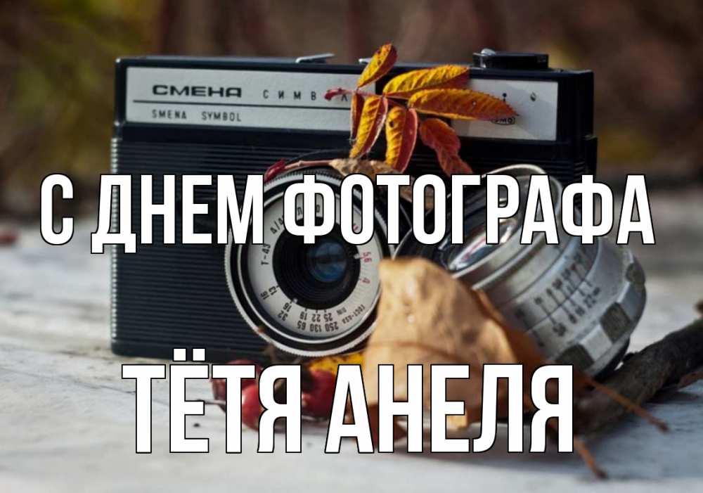 Открытка на каждый день с именем, Тётя-Анеля С днем фотографа с днем фотографа Прикольная открытка с пожеланием онлайн скачать бесплатно 