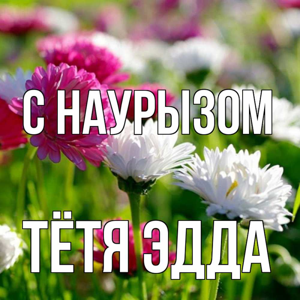 Открытка на каждый день с именем, Тётя-Эдда С наурызом праздник весны наурыз красота Прикольная открытка с пожеланием онлайн скачать бесплатно 