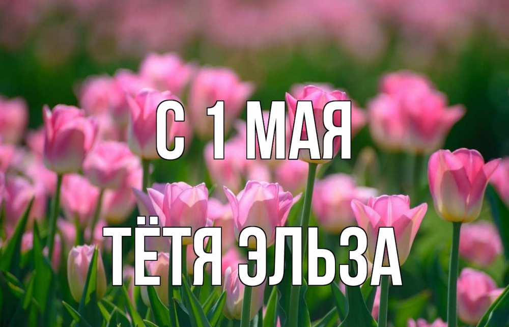 Открытка на каждый день с именем, Тётя-Эльза С 1 мая С 1 мая Прикольная открытка с пожеланием онлайн скачать бесплатно 