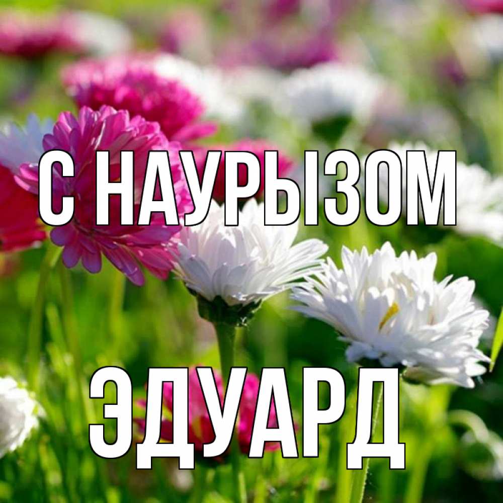 Открытка на каждый день с именем, Эдуард С наурызом праздник весны наурыз красота Прикольная открытка с пожеланием онлайн скачать бесплатно 