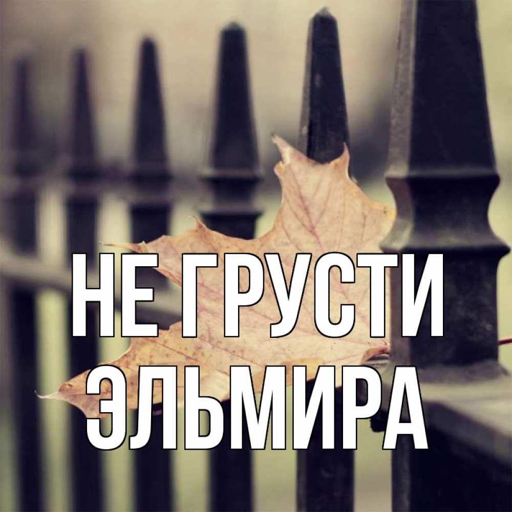 Открытка на каждый день с именем, Эльмира Не грусти лист клена Прикольная открытка с пожеланием онлайн скачать бесплатно 