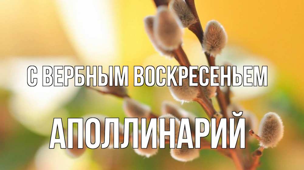 Открытка на каждый день с именем, Аполлинарий С вербным воскресеньем верба 1 Прикольная открытка с пожеланием онлайн скачать бесплатно 