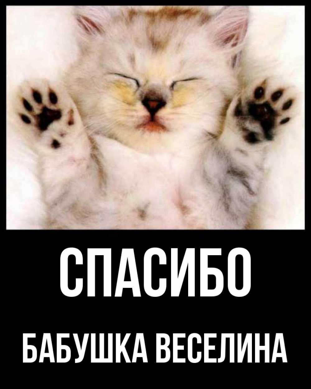 Открытка на каждый день с именем, Бабушка-Веселина Спасибо маленький котенок Прикольная открытка с пожеланием онлайн скачать бесплатно 