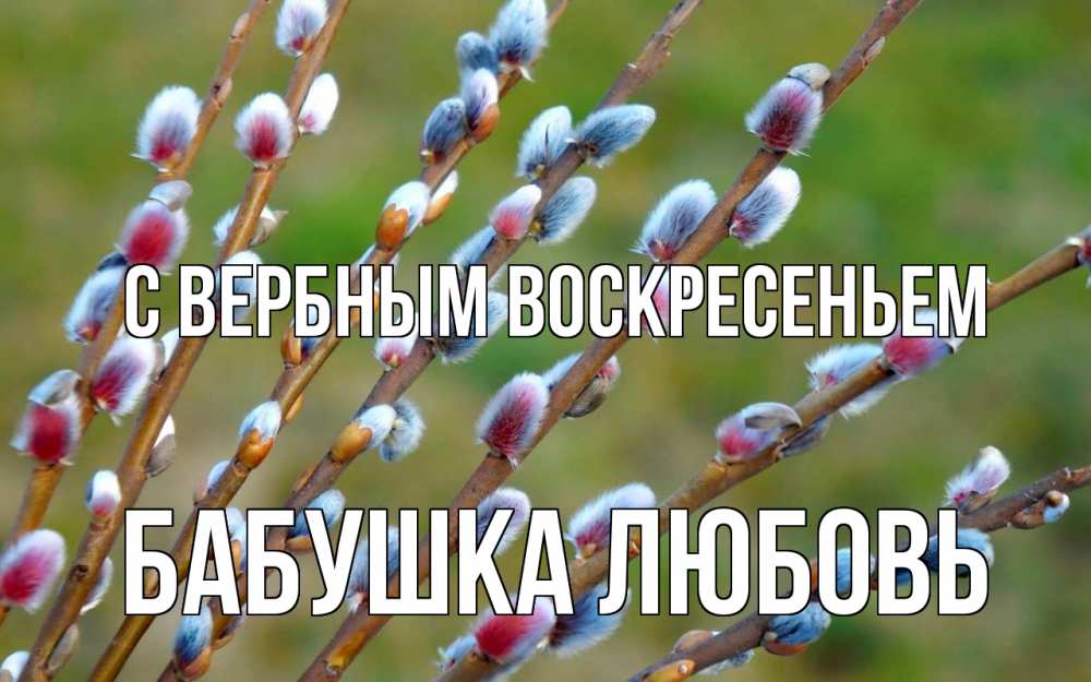 Открытка на каждый день с именем, Бабушка-Любовь С вербным воскресеньем верба Прикольная открытка с пожеланием онлайн скачать бесплатно 