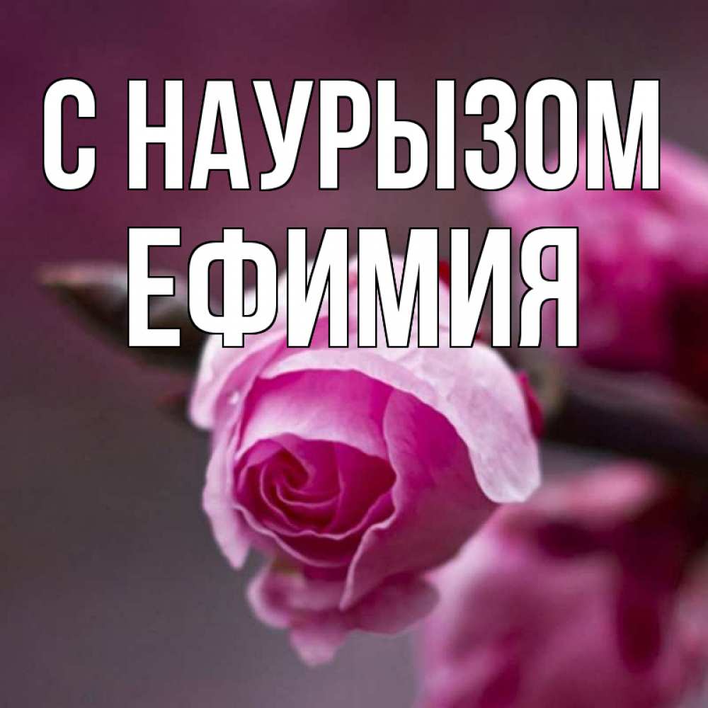 Открытка на каждый день с именем, Ефимия С наурызом весна Прикольная открытка с пожеланием онлайн скачать бесплатно 
