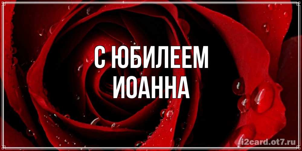 Открытка на каждый день с именем, Иоанна С юбилеем крупная бордовая роза Прикольная открытка с пожеланием онлайн скачать бесплатно 
