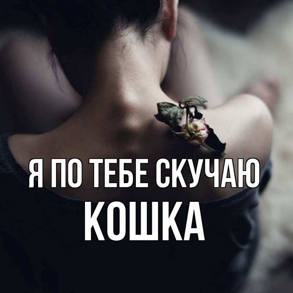 Открытка на каждый день с именем, Кошка Я по тебе скучаю засох цветок Прикольная открытка с пожеланием онлайн скачать бесплатно 