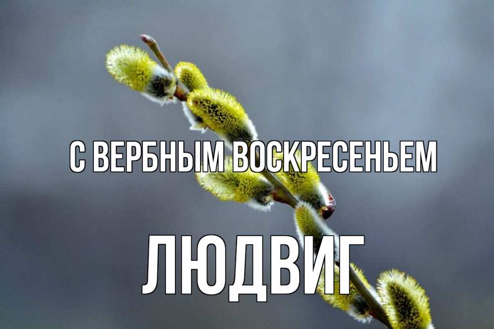 Открытка на каждый день с именем, Людвиг С вербным воскресеньем верба Прикольная открытка с пожеланием онлайн скачать бесплатно 