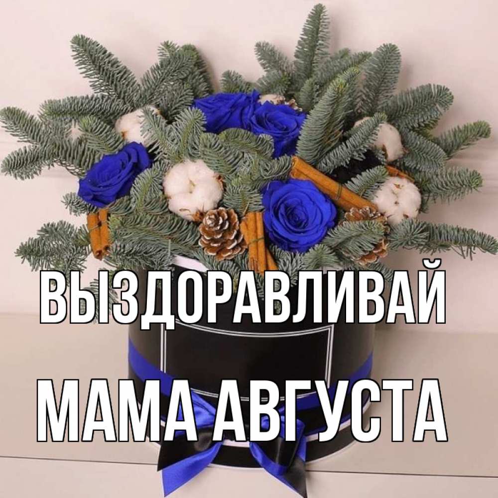 Открытка на каждый день с именем, Мама-Августа Выздоравливай короче кто то загрузил эти шишки Прикольная открытка с пожеланием онлайн скачать бесплатно 