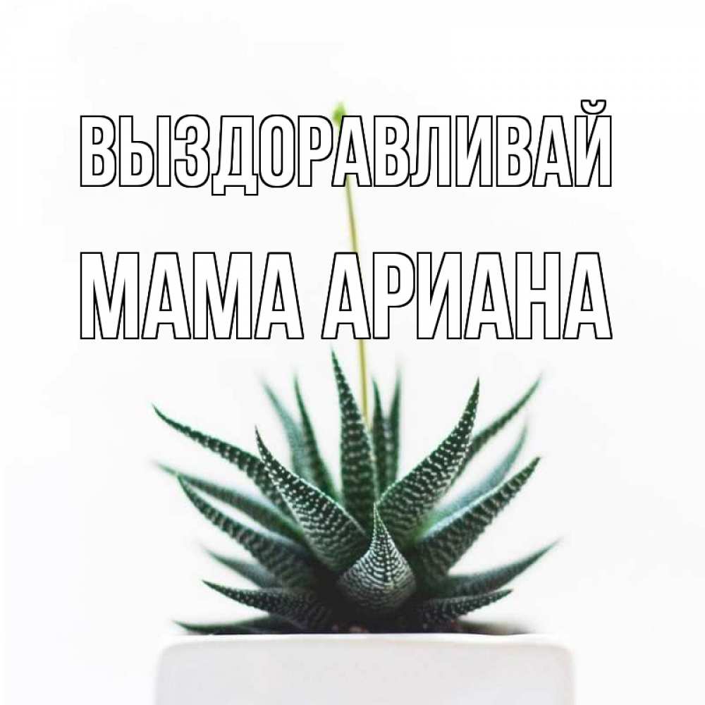 Открытка на каждый день с именем, Мама-Ариана Выздоравливай короче это непонятная колючка Прикольная открытка с пожеланием онлайн скачать бесплатно 