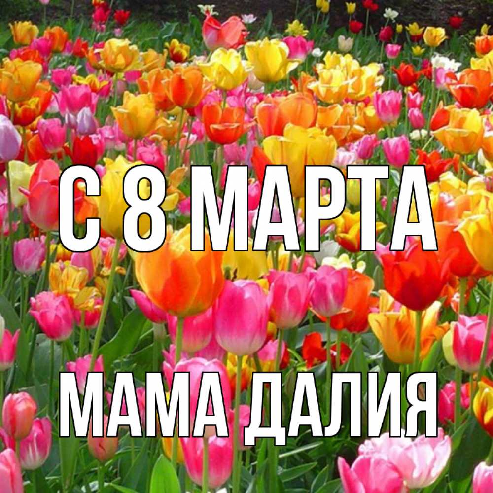 Картинка С 8 марта, Мама Далия