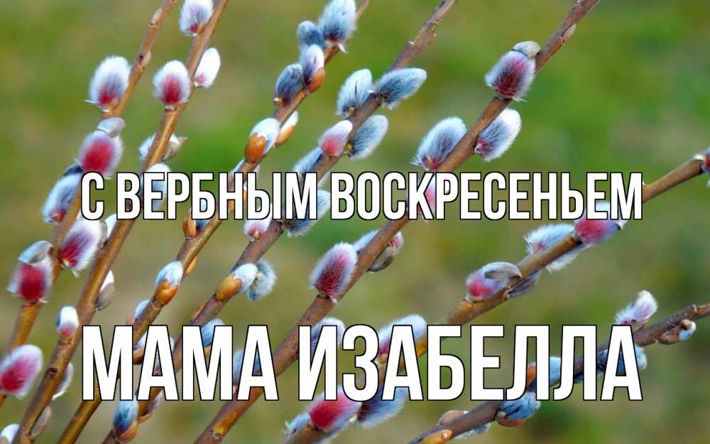 Открытка на каждый день с именем, Мама-Изабелла С вербным воскресеньем верба Прикольная открытка с пожеланием онлайн скачать бесплатно 