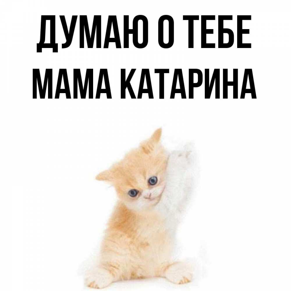 Открытка на каждый день с именем, Мама-Катарина Думаю о тебе зверушки и милота Прикольная открытка с пожеланием онлайн скачать бесплатно 