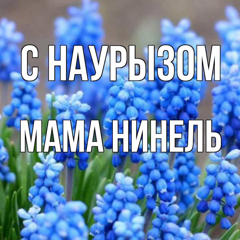 Открытка на каждый день с именем, Мама-Нинель С наурызом Поздравительная открытка для женщин с цветами на праздничную дату Прикольная открытка с пожеланием онлайн скачать бесплатно 