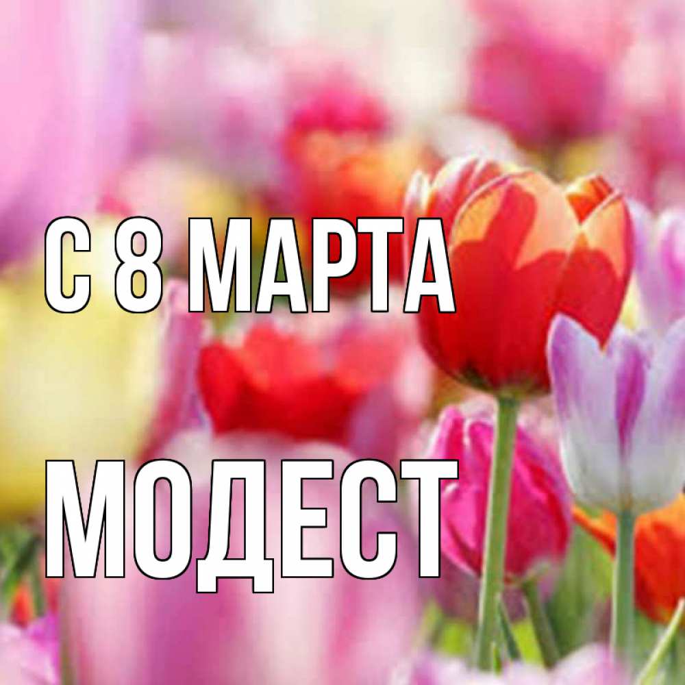 Открытка на каждый день с именем, Модест С 8 марта на международный женский день 2 Прикольная открытка с пожеланием онлайн скачать бесплатно 