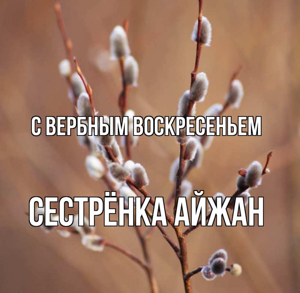 Открытка на каждый день с именем, Сестрёнка-Айжан С вербным воскресеньем верба Прикольная открытка с пожеланием онлайн скачать бесплатно 