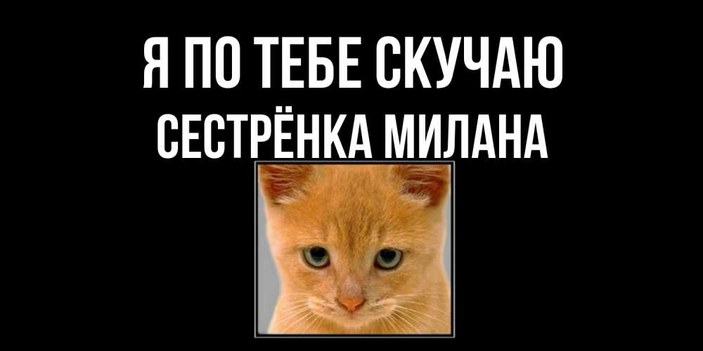 Открытка на каждый день с именем, Сестрёнка-Милана Я по тебе скучаю открытки рыжий котенок скучает по тебе Прикольная открытка с пожеланием онлайн скачать бесплатно 