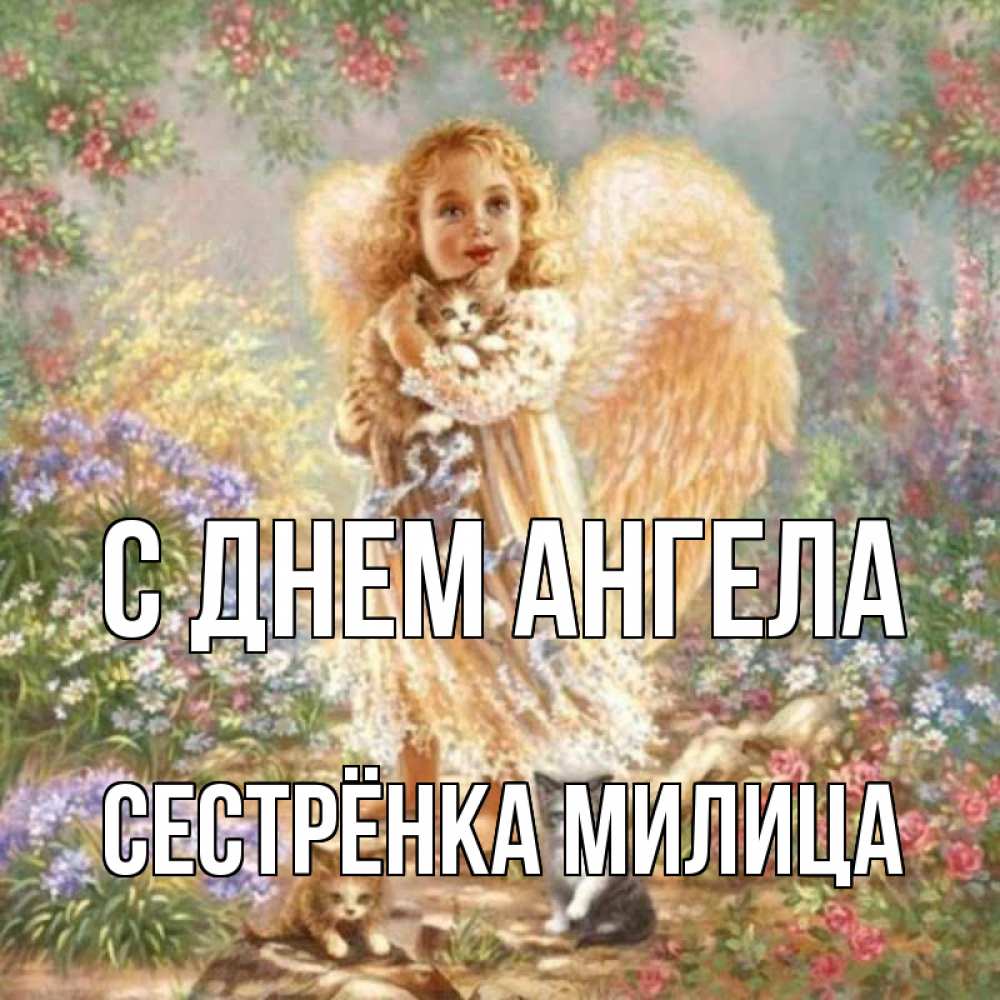 Открытка на каждый день с именем, Сестрёнка-Милица С днем ангела держит котенка Прикольная открытка с пожеланием онлайн скачать бесплатно 