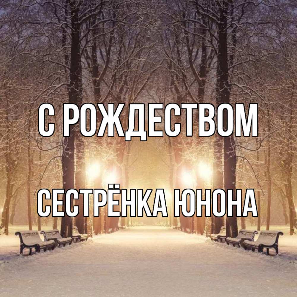 Открытка на каждый день с именем, Сестрёнка-Юнона С рождеством зима, парк, фонарь, лес Прикольная открытка с пожеланием онлайн скачать бесплатно 